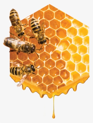 Unparalleled Customer Service - Miel De Abeja