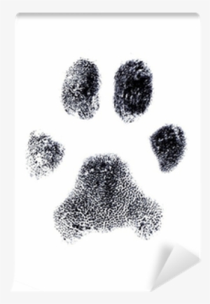 Dog Fingerprint