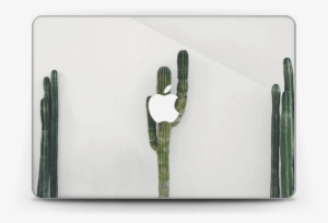 Mexican Cactus - Macbook Pro 13-inch