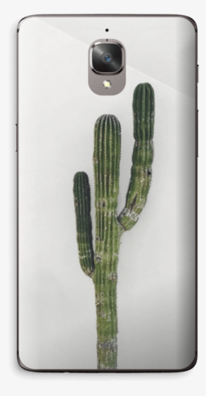 Mexican Cactus - Oneplus 3t