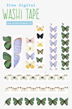 Washi Tape - Bien Dans Sa Vie - Trade Paperback