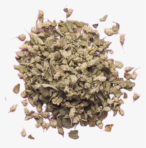 Reviews - Hydrangea
