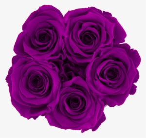 Prev - Roses In A Box - Bella's Flower Shop