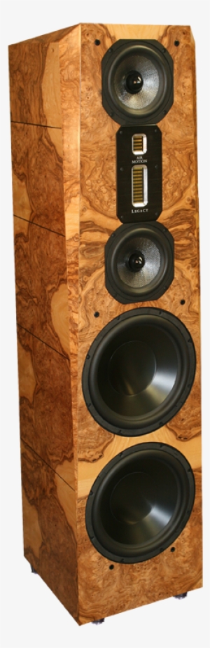 Legacy Focus Se In Olive Ash Burl Finish