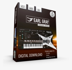 Earl Gray Box Orange2 - Guitar