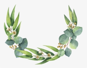 Roseta De Hojas Verdes - Eucalyptus Wreath Clip Art