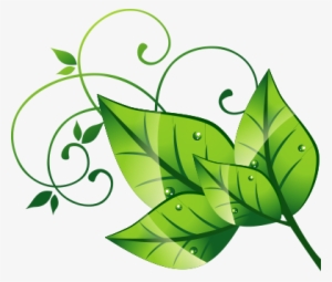 Hojas Naturales Png - Nature Background