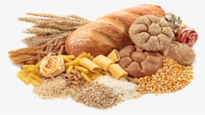 Image - Glúcidos O Hidratos De Carbono