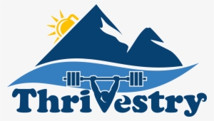 Gym Workout Programming To Help You Teach People How