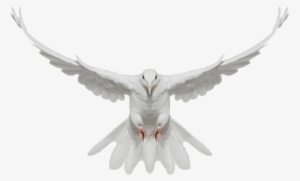 Designer & Construção - Andrew Zuckerman