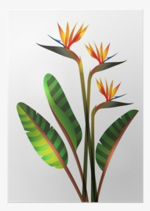 World Menagerie Greve Strand Flower Ombre Colored Botanic