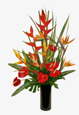 Double "b" Exotic Gardens, Established In 1981, Was - March 8