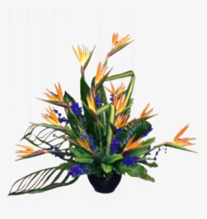 Birds In Blue - Blue