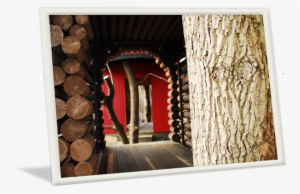 Photo-frame - Birthday