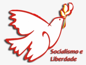 A Célebre Pomba Em Voo Livre Com Uma Flor No Bico,