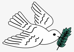 Open - Pigeons And Doves