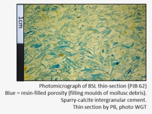 Picture - Limestone