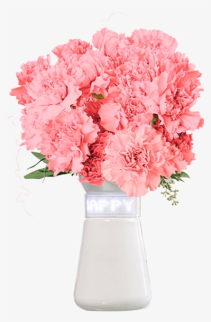 Features - Carnation