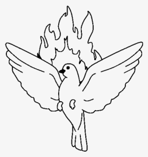 Paloma Del Espiritu Santo Para Colorear