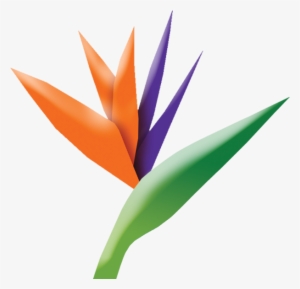 Tlp Logo - Bird Of Paradise