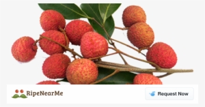 Lychees Fruit