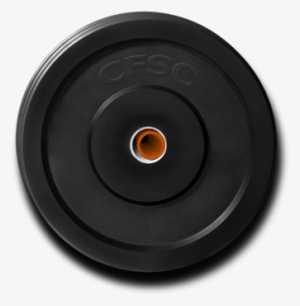 Weight Lifting Plates - Rockford Fosgate Prime R2sd2-12