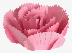 Carnation - Carnation Pop Up Card
