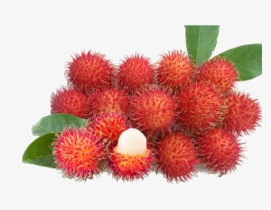 Rambutan Fruit - Png Rambutan - Rambutan Png
