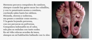 Pqek2 - My Feet After Work