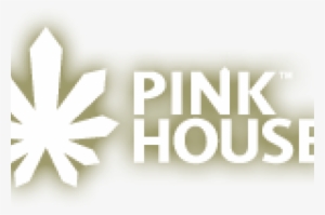 Pink House - Management Consulting