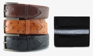 Exotic Skin Goods - Belt