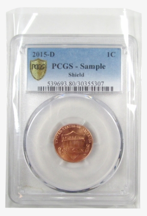 Graded Slab Coin Protector Bag - Bag