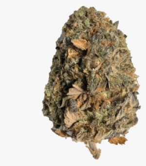 Kush Png - White Walnut