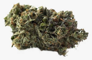 Og Kush - Bud Marijuana