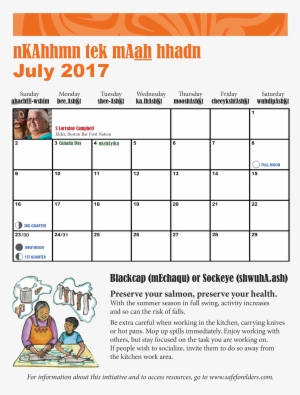 We're Excited To Announce That The 2017 Safe For Elders - 2009 Calendar