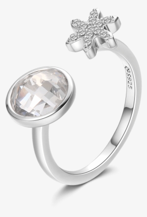 Anel Gelo E Floco De Neve - Ring