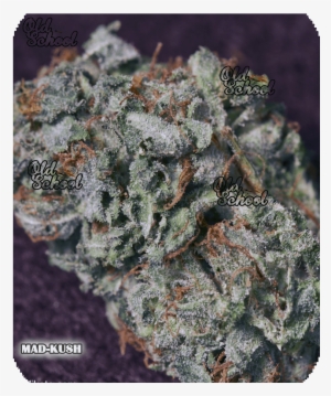 Mad Kush - Kush