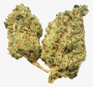 Blackberry Widow - Kush