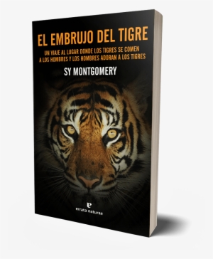 El Embrujo Del Tigre - Mojo Presents Well All Right