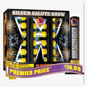 Silver Salute Reloadable Fireworks Mortars - Fireworks