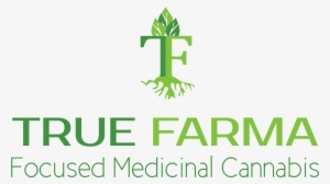 Focused Medicinal Cannabis - Graphic Design