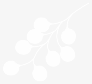 Texturas Suaves, Al Tocarlas Estas Texturas Son Débiles, - Visual Software Systems Ltd.