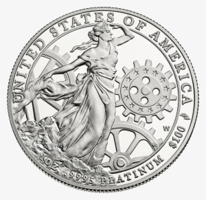 Platinum Reverse 13 - American Silver Eagle Coin