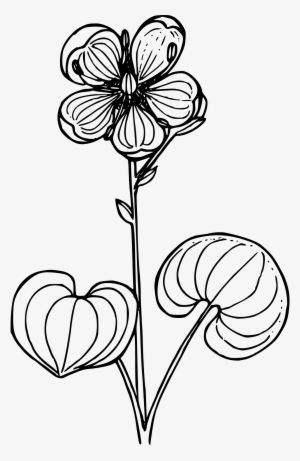 This Free Icons Png Design Of Grass Of Parnassus