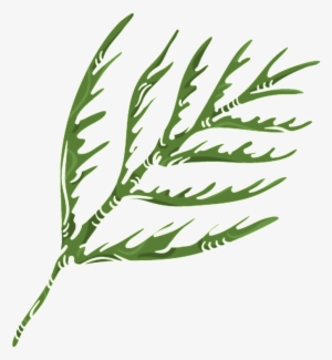 Green Coral Grass Png Transparent - Portable Network Graphics