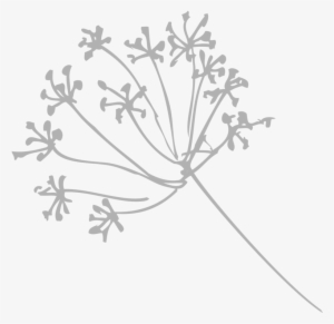 Place Holder - Portable Network Graphics