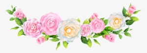 Pintado A Mano Ranunculus Flores Png Material Transparente - Png กรอบ ดอกไม้