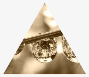 Dew-drops - Dew Drops On Leaves