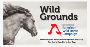 Save Wild Horses - Wild Horse