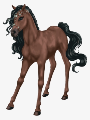 Gp Bs Ab Fp Foal Jewell20130802 2538 1c03gsz 0 - Bella Sara Legendary Horse